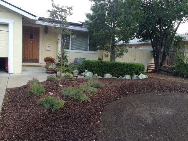 Front Entrance Bushes - 1629 Almond Blossom Ln