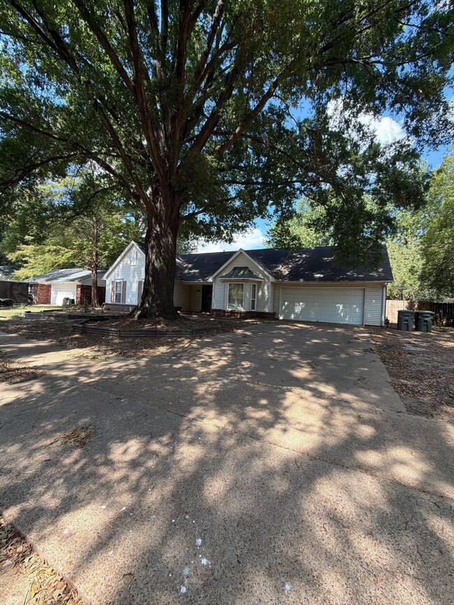 Building Photo - 6816 Bainbridge Dr