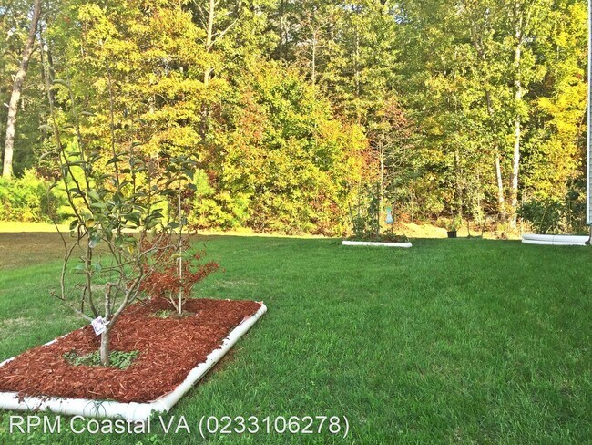 Building Photo - 4 br, 3.5 bath House - 205 Cheeseman Rd
