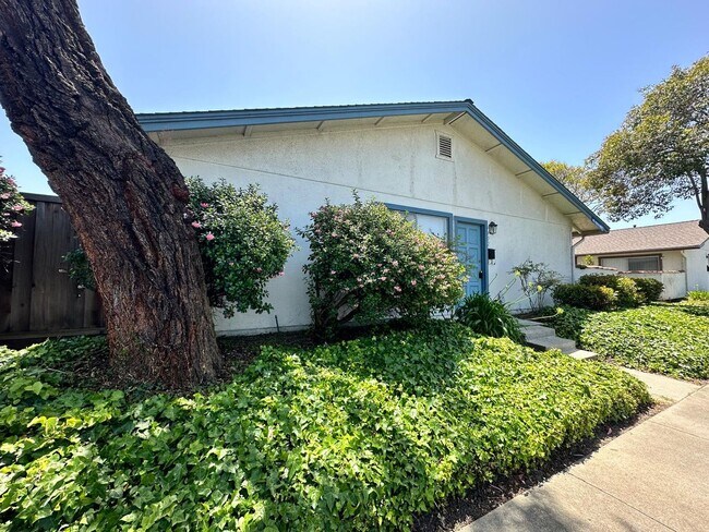 Building Photo - 4402 Bel Estos Way is now open for rent!
