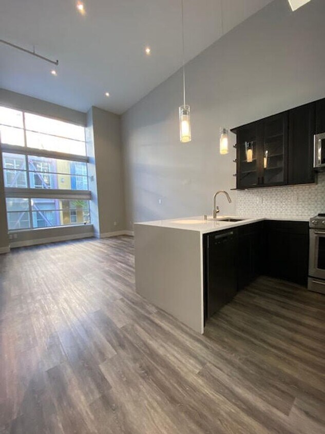 HUGE, remodeled 2 Level 2br/2Ba Loft, Park... - HUGE, remodeled 2 Level 2br/2Ba Loft, Park...