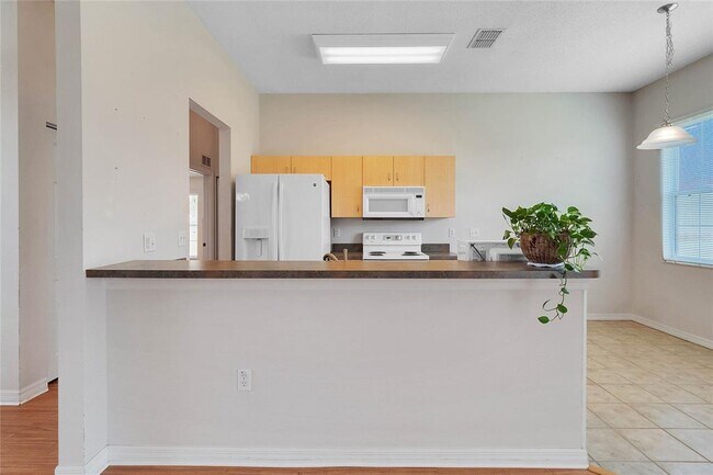Building Photo - 411 Basil Cir