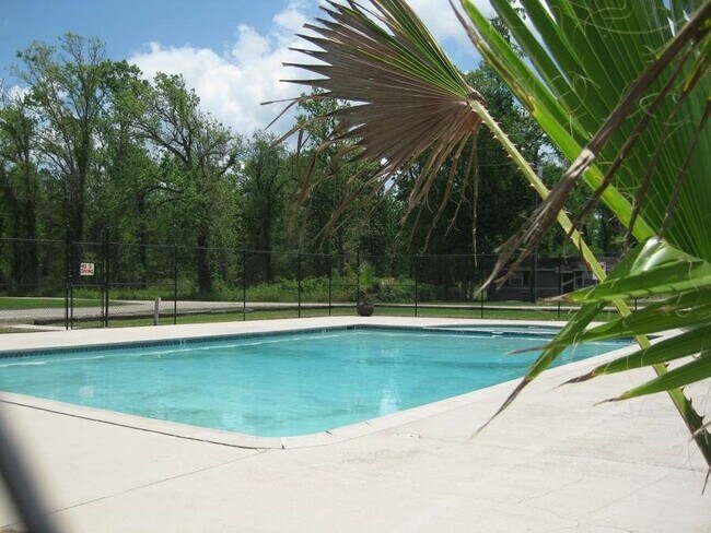 Foto del edificio - 269 Wood Fern Dr