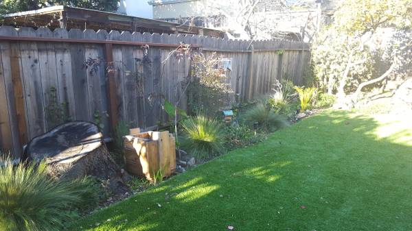 Back yard - 2902 Georgia St