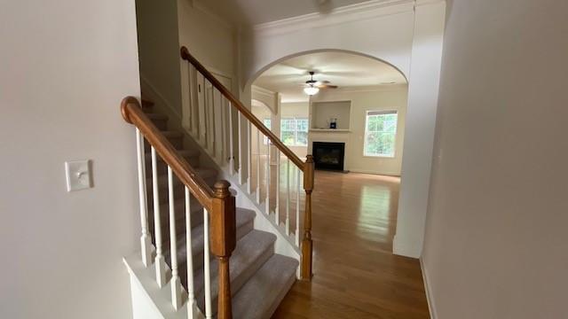 Building Photo - 5030 Hastings Terrace