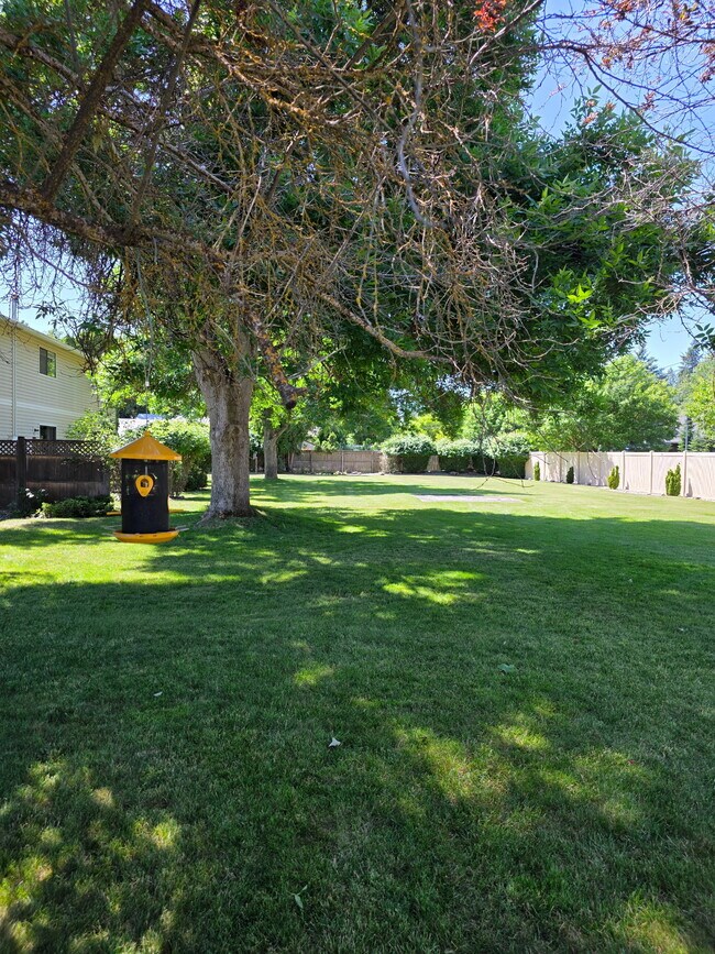 Foto del edificio - 1577 E Skyview Ln