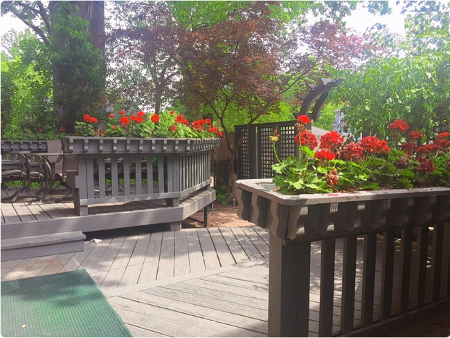 Patio trasero - Virginia Apartments