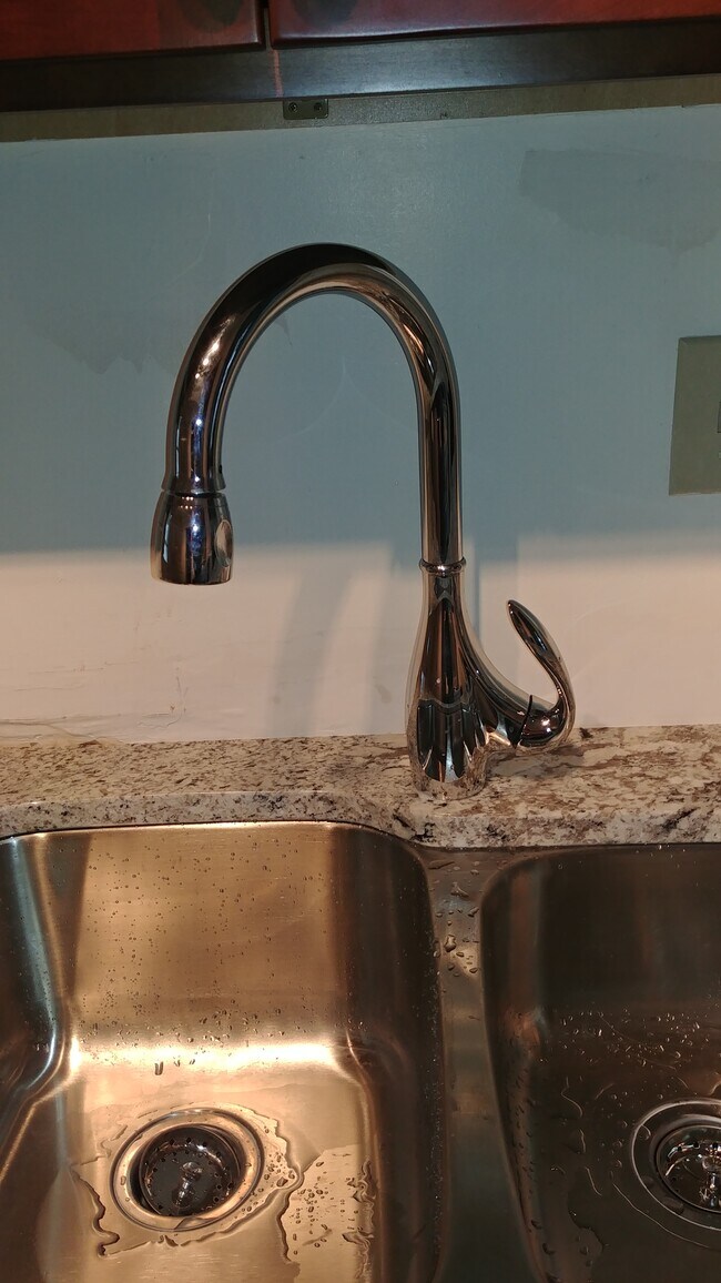 13 Center St, Geneseo, NY 14454 Townhome Rentals in Geneseo NY