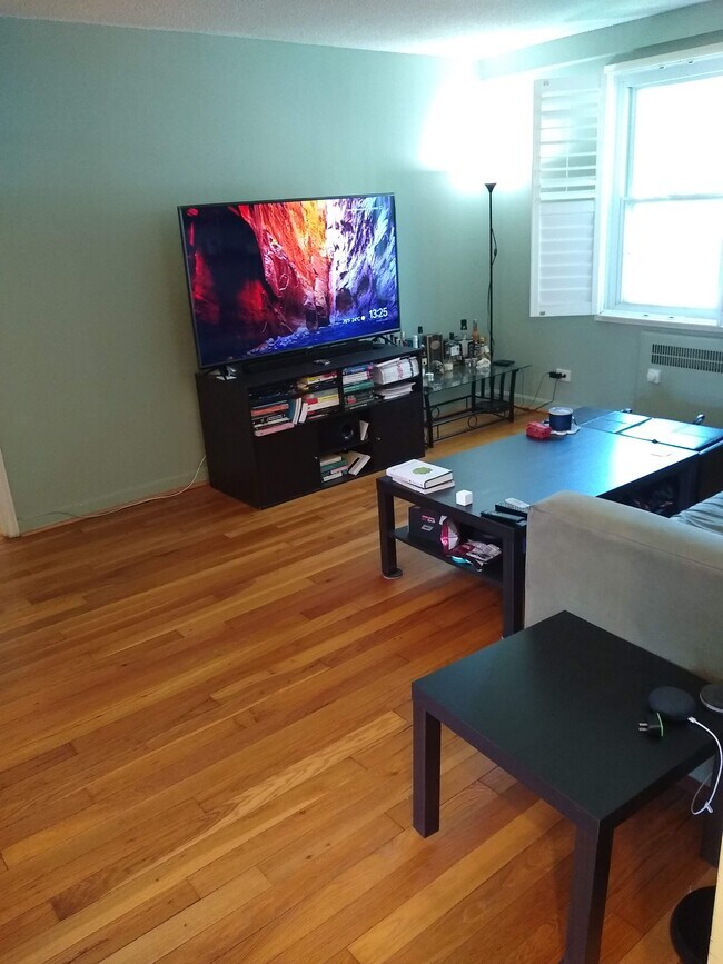 LIving Room - 230 N George Mason Dr