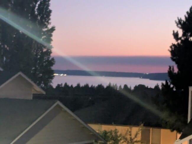View from master bedroom window - 24028 25th Ave S