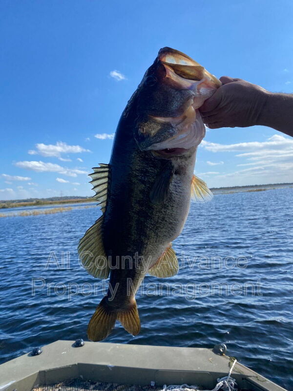 Foto del edificio - 358 1st Ave N