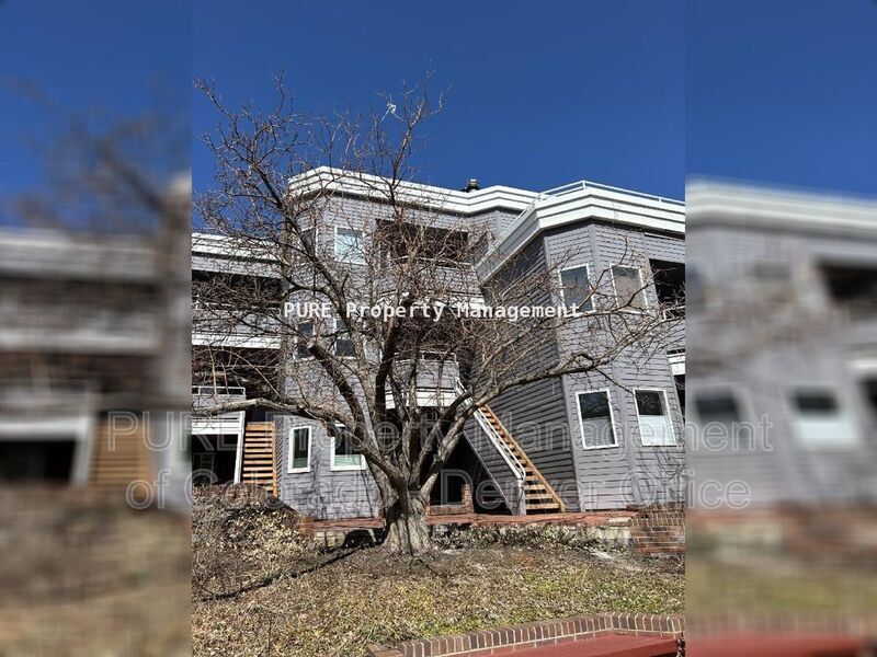 Foto principal - 1529 Spruce St