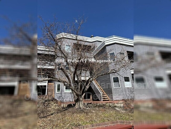 Building Photo - 1529 Spruce St