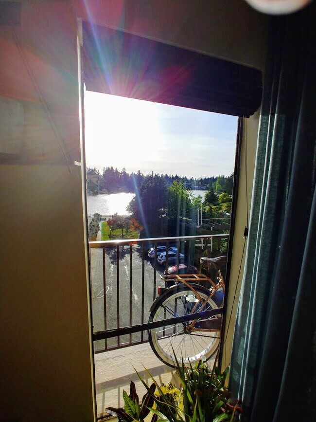 Lake view - 13229 Linden Ave N