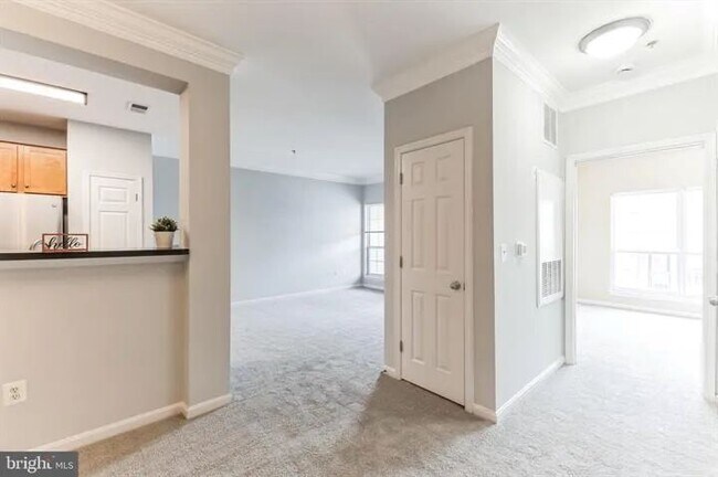 Sala de estar/Cocina - 4852 Eisenhower Ave