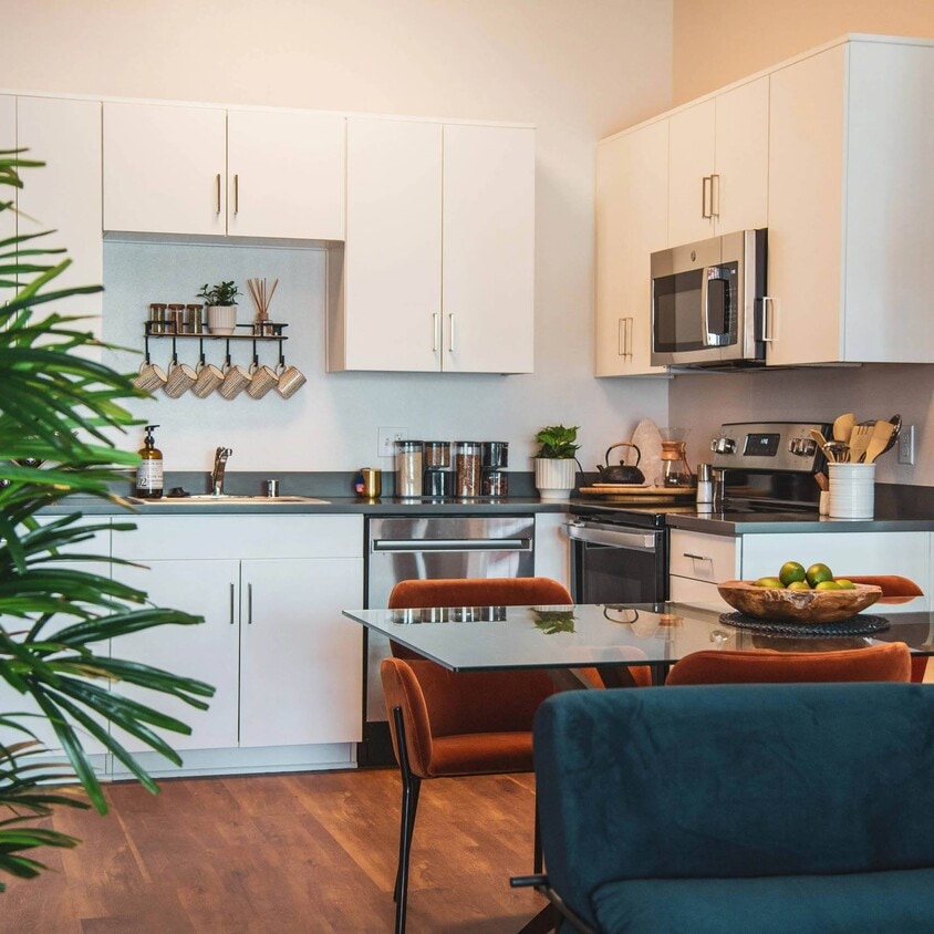 Primary Photo - Sora