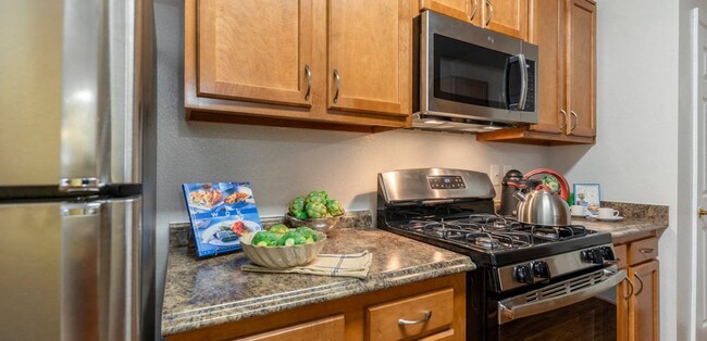 Stainless Steel Appliances - The Morgan Apartment Homes