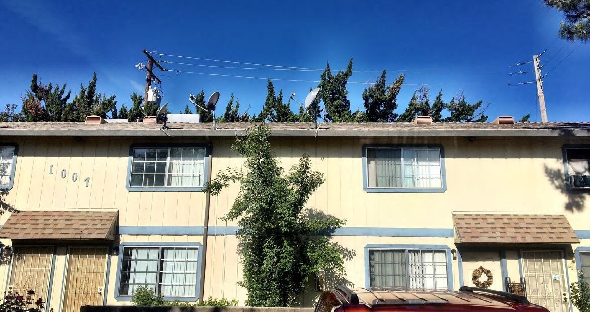 1007 Lloyd St, Lodi, CA 95240 Apartments in Lodi, CA