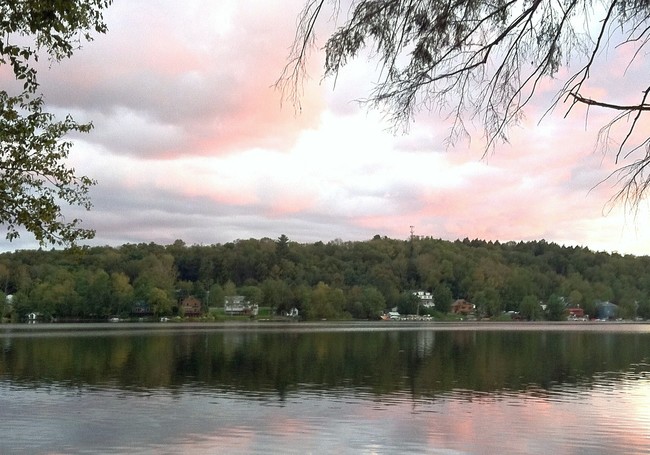 View from property - White Lake/Bethel Woods