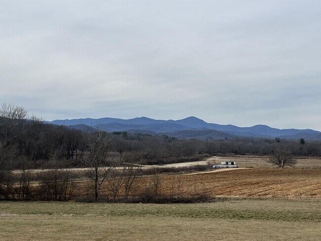 Foto del edificio - 162 Pisgah Heights Ln