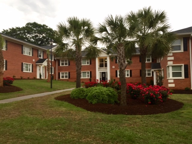 Royal Palms Apartments North Augusta Sc Palm Trees Growing In Royal Palms Apartments