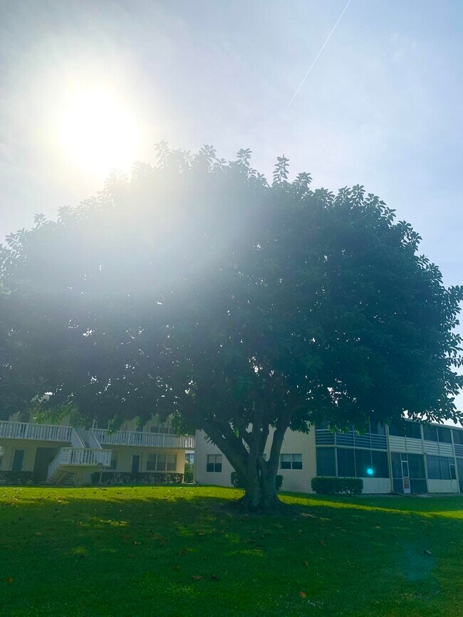 Building Photo - 315 Camden M