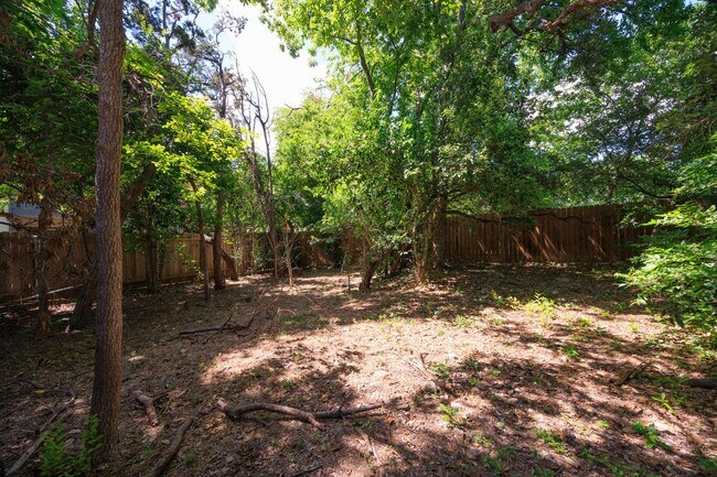 Building Photo - Easy Access to South Congress!!!!