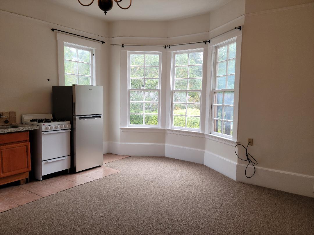 View studio w/ new carpet, stove & refrigerator - 15 Throckmorton Ave