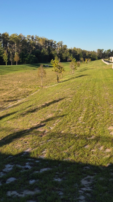 Building Photo - 16357 Bird of Paradise Ave