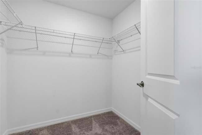 Building Photo - 32127 Powderpuff Mimosa Dr