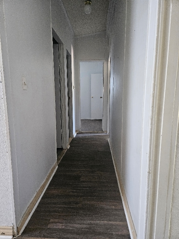 Building Photo - 5120 Cibolo Way