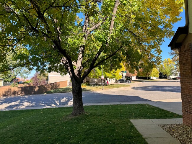 Building Photo - Spacious, Highlands Ranch Home Featuring 4...