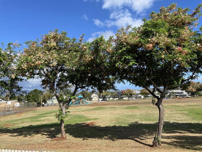 Foto del edificio - PARKGLEN AT WAIKELE 2/2/2 Bldg E, W/D, C-f...