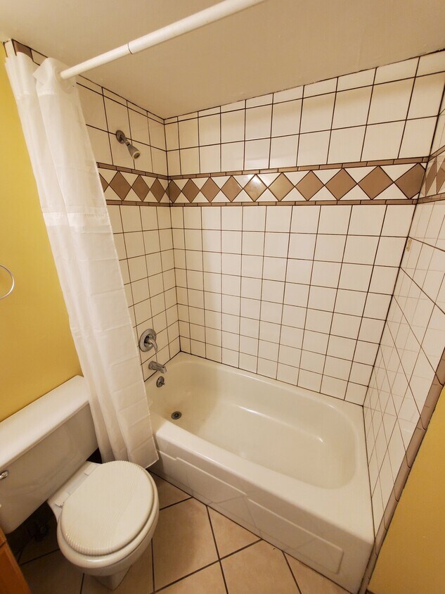 1330 Locust St Unit 3, Dubuque, IA 52001 Condo for Rent in Dubuque