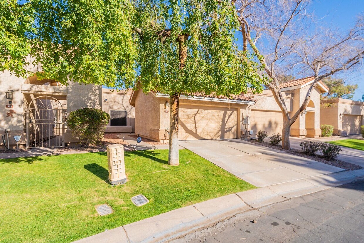 384 W Carmen St, Tempe, AZ 85283 House Rental in Tempe, AZ