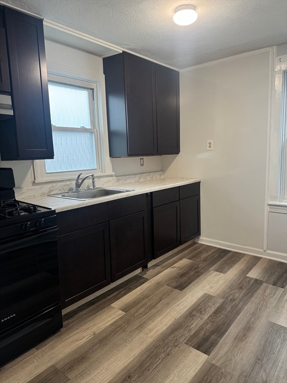 Building Photo - 93 Webster St