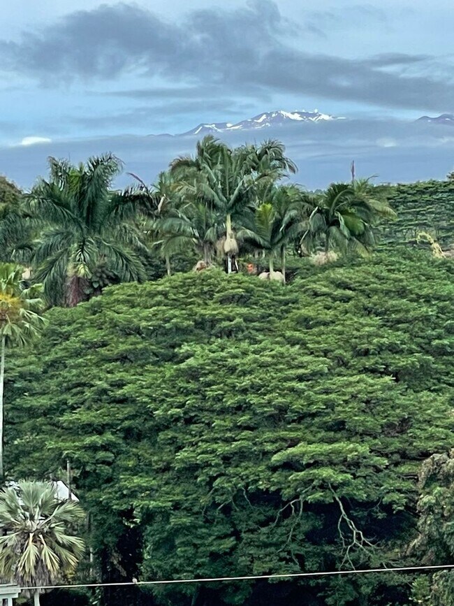 Foto del edificio - 2BR/2BA with Beautiful Ocean View & Conven...