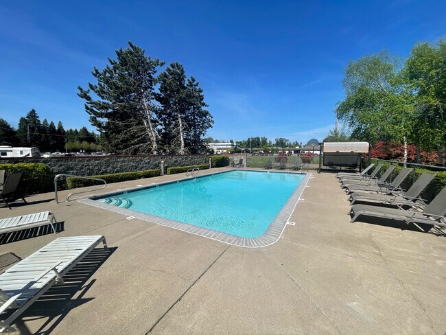 Piscina - Heron Club