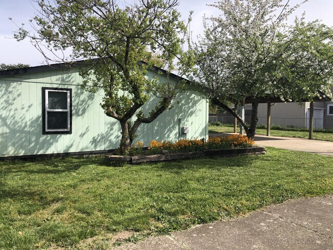 Foto del edificio - 167 W Rose St