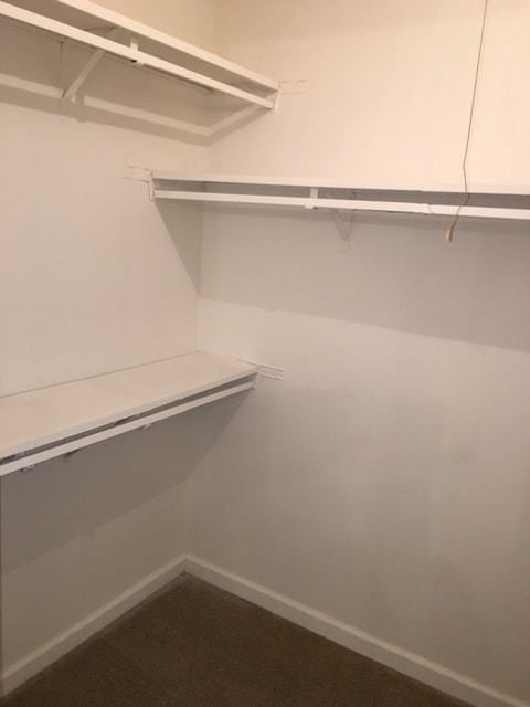 Large Walk In Closet - Stone Pointe Village