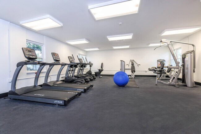 Gimnasio - Oaks On Lamar