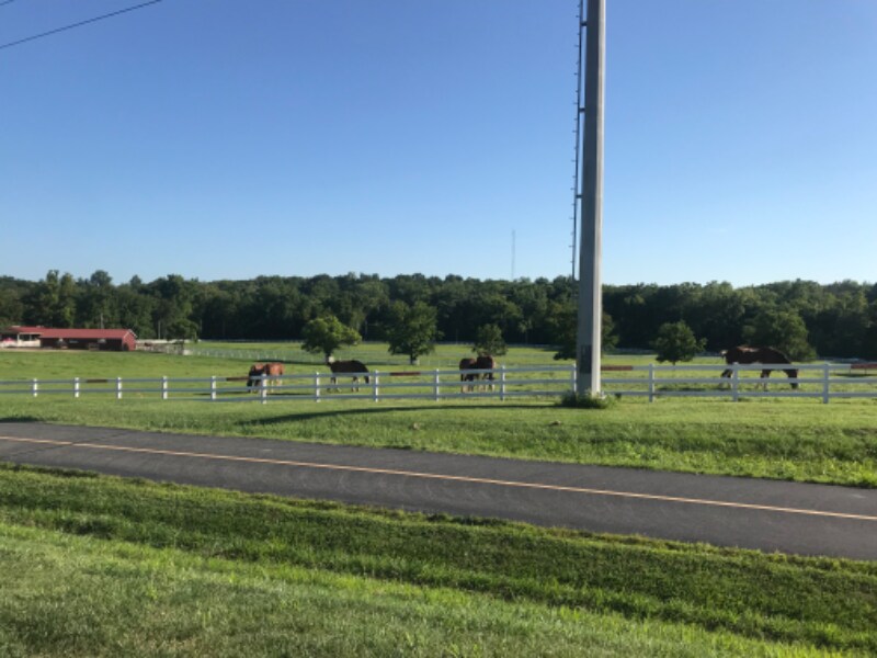 7916 Royal Arms Ct, St. Louis, MO 63123 Townhome Rentals in St. Louis