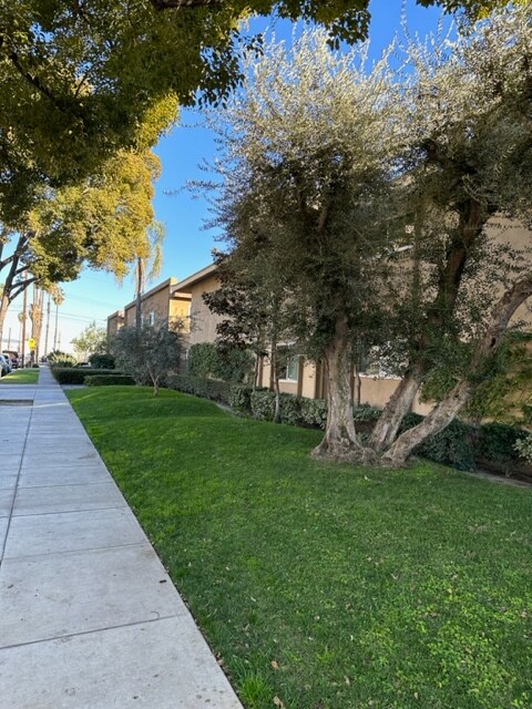 Building Photo - 1666 W Pampas Ln