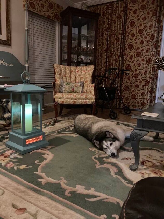 968 Roundhouse Ct, West Chester, PA 19380 Townhome Rentals in West