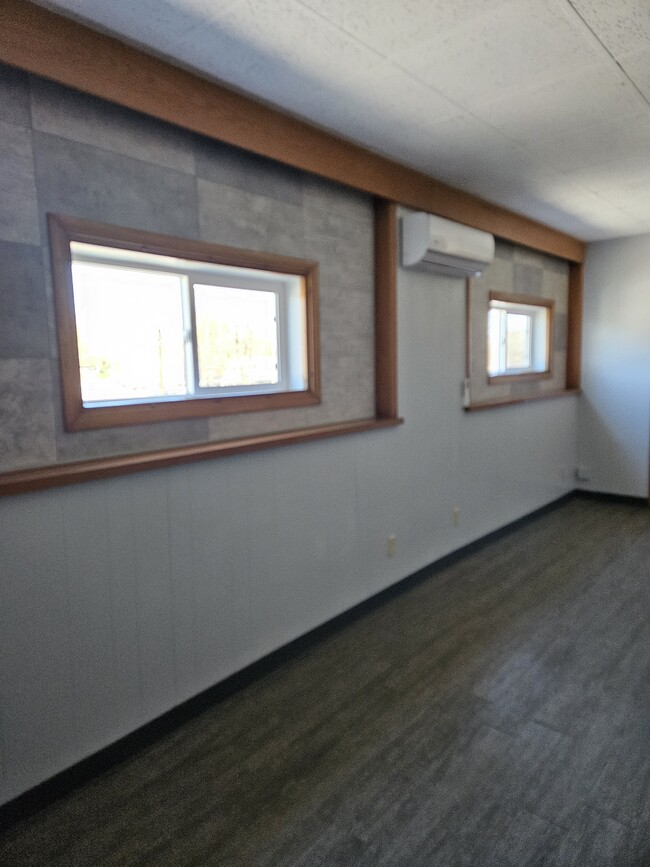 Windows and air conditioner - 1106 W Wisconsin Ave