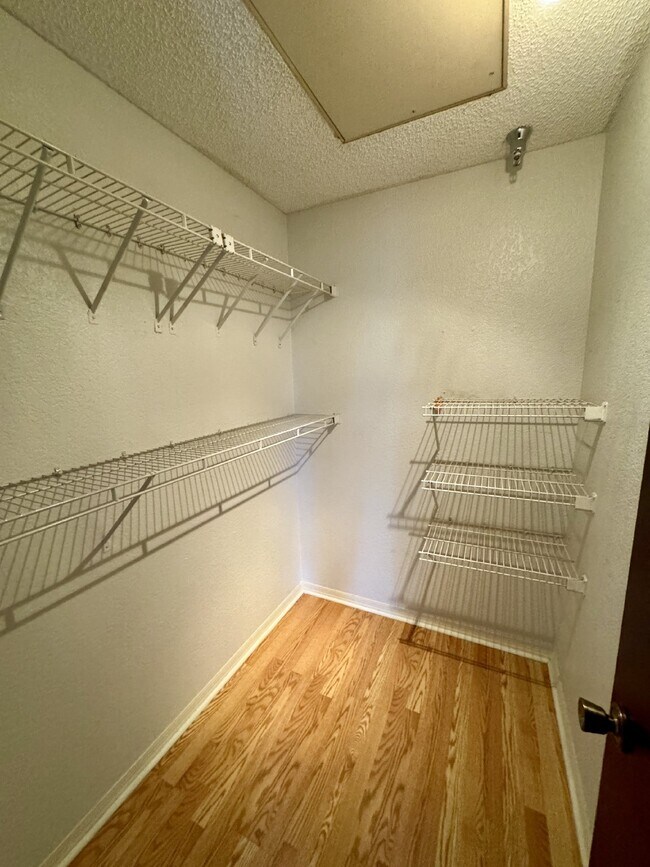 Foto del edificio - "Charming 1-Bedroom Retreat in St. Petersburg - Modern Comfort with 729 Sq Ft of Cozy Living!"