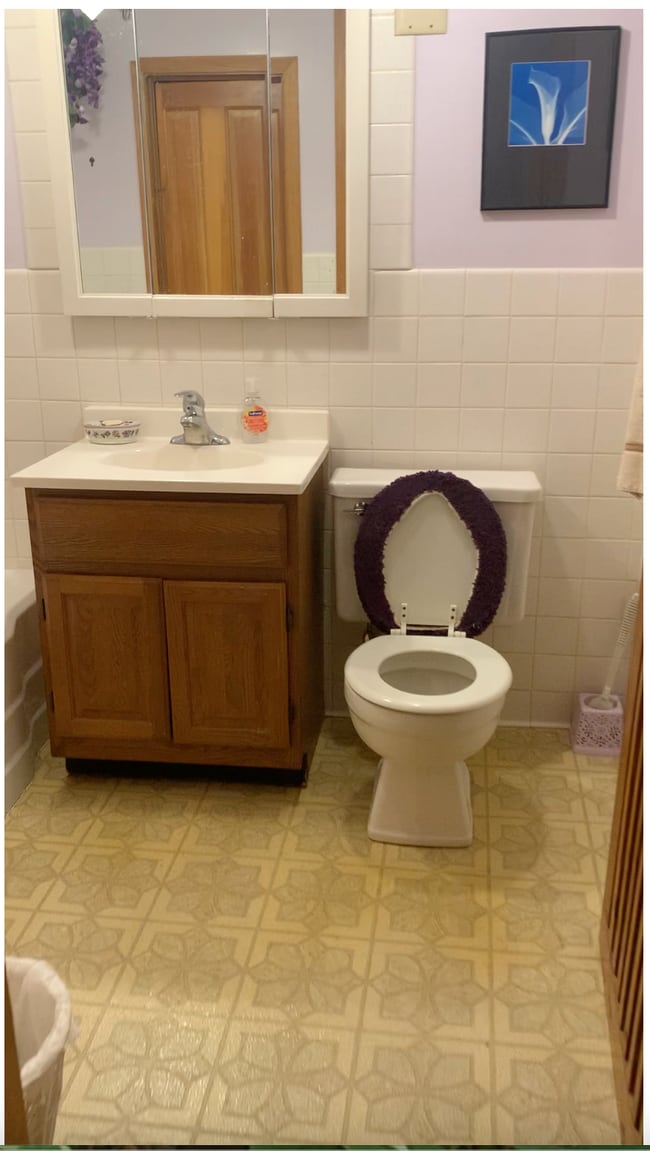 Upstairs bath - 429 Minnehaha Ave E