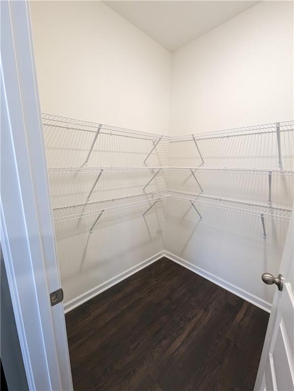 Foto del edificio - 543 Graham Campbell Ln