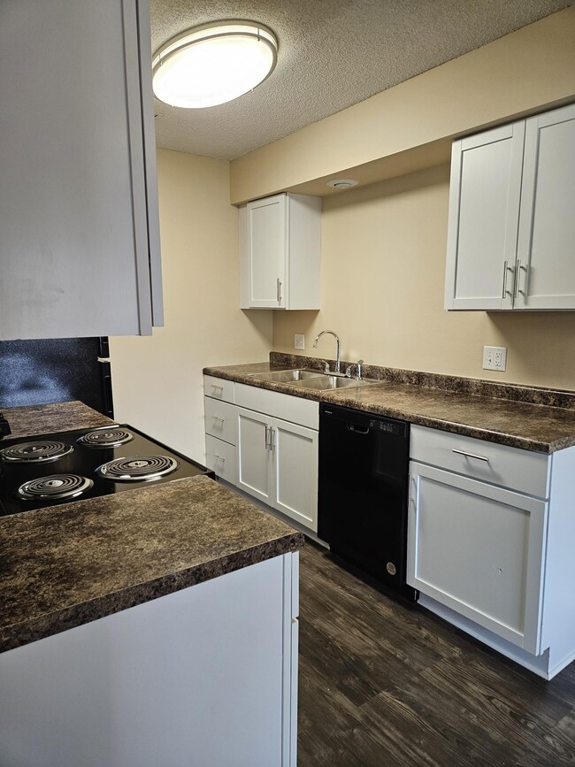 UPGRADED APT/TH kitchen - Meadow Chase Apartments