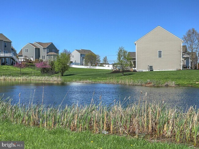 Building Photo - 4 Bella Vista Dr